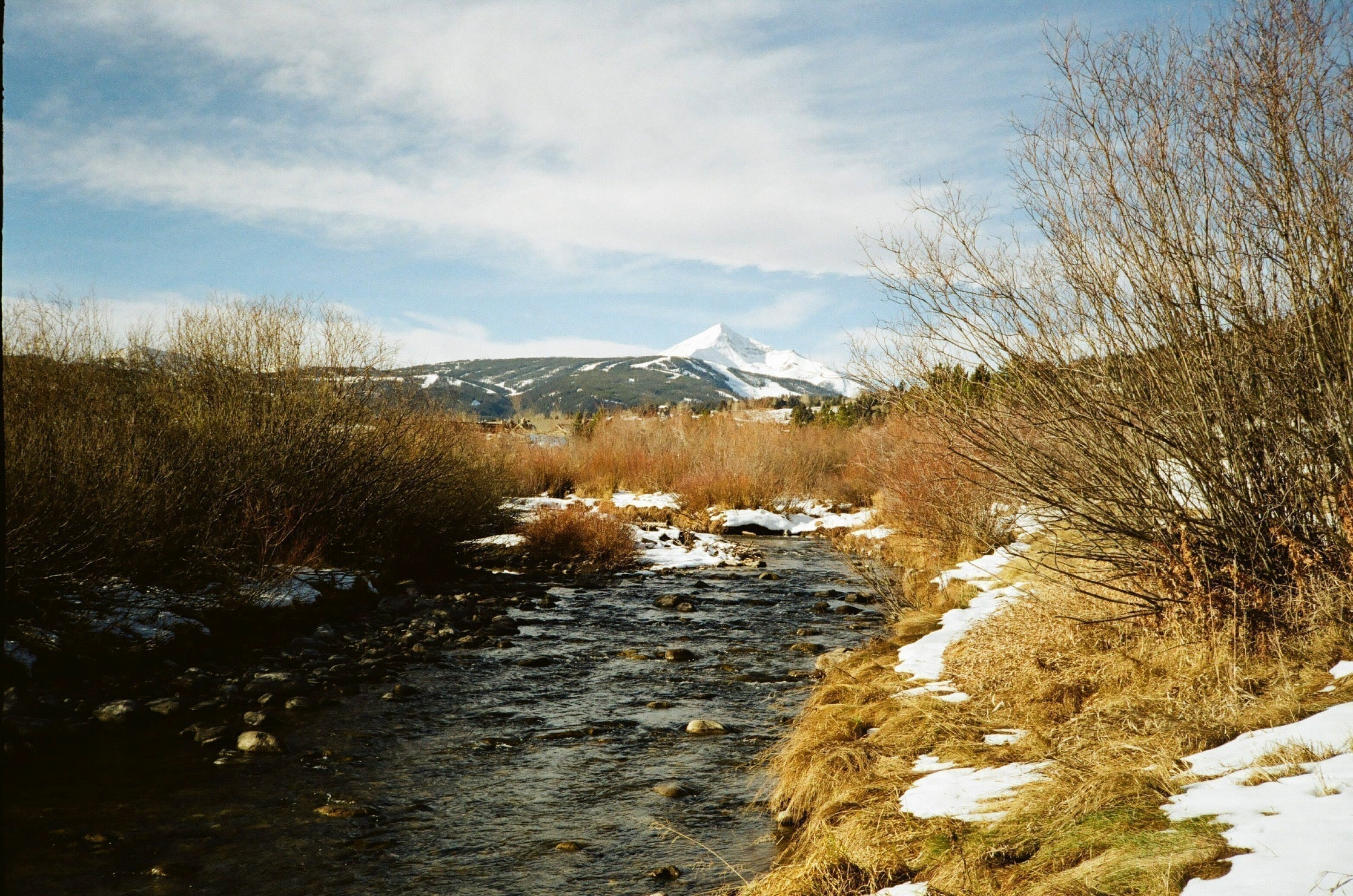 Montana