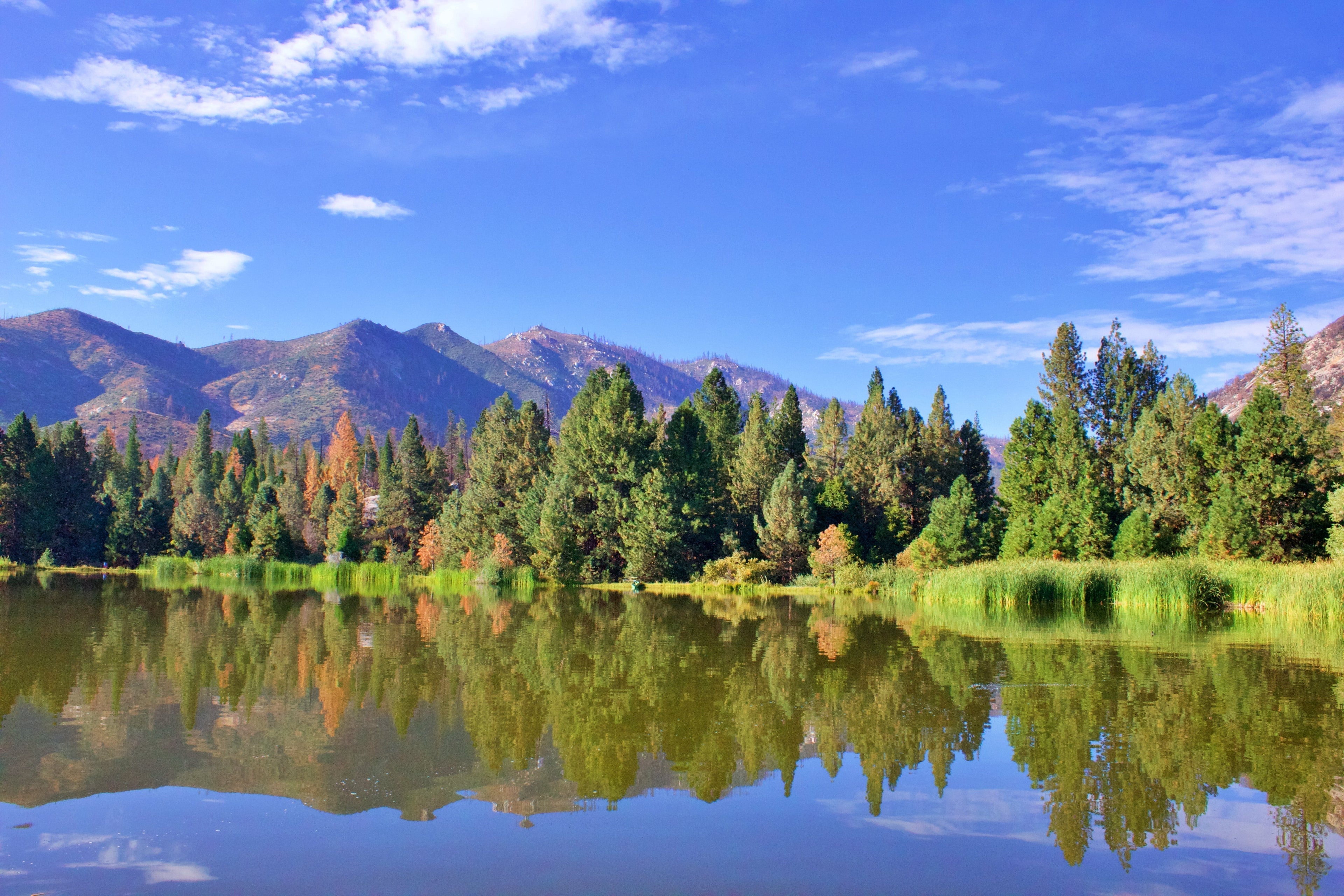 The R Ranch - In The Sequoias