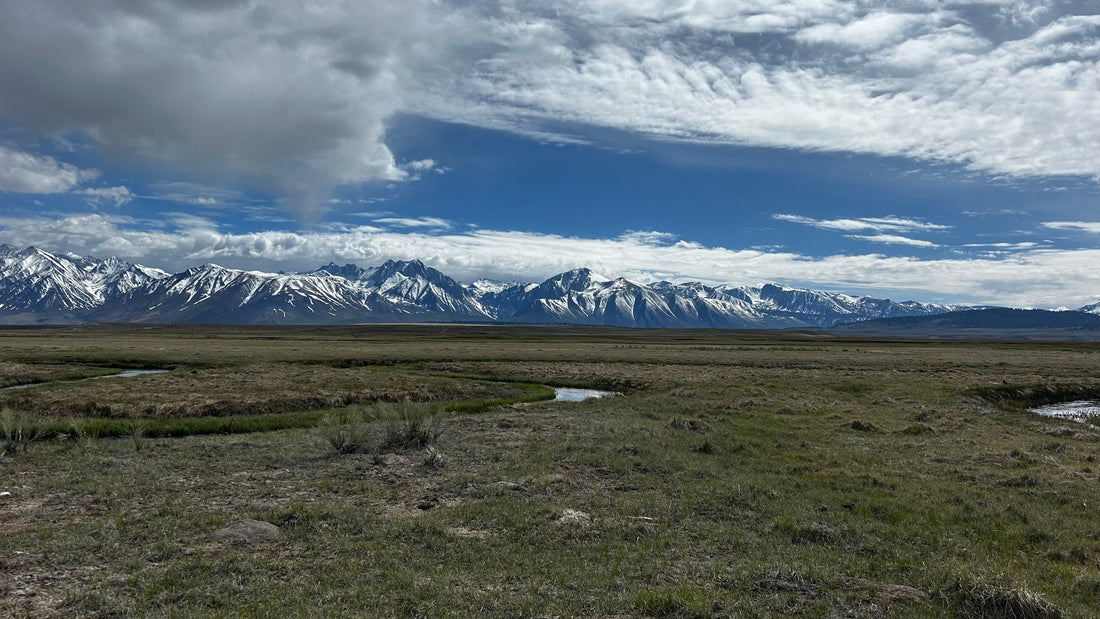 April 2026 - Owens River, California