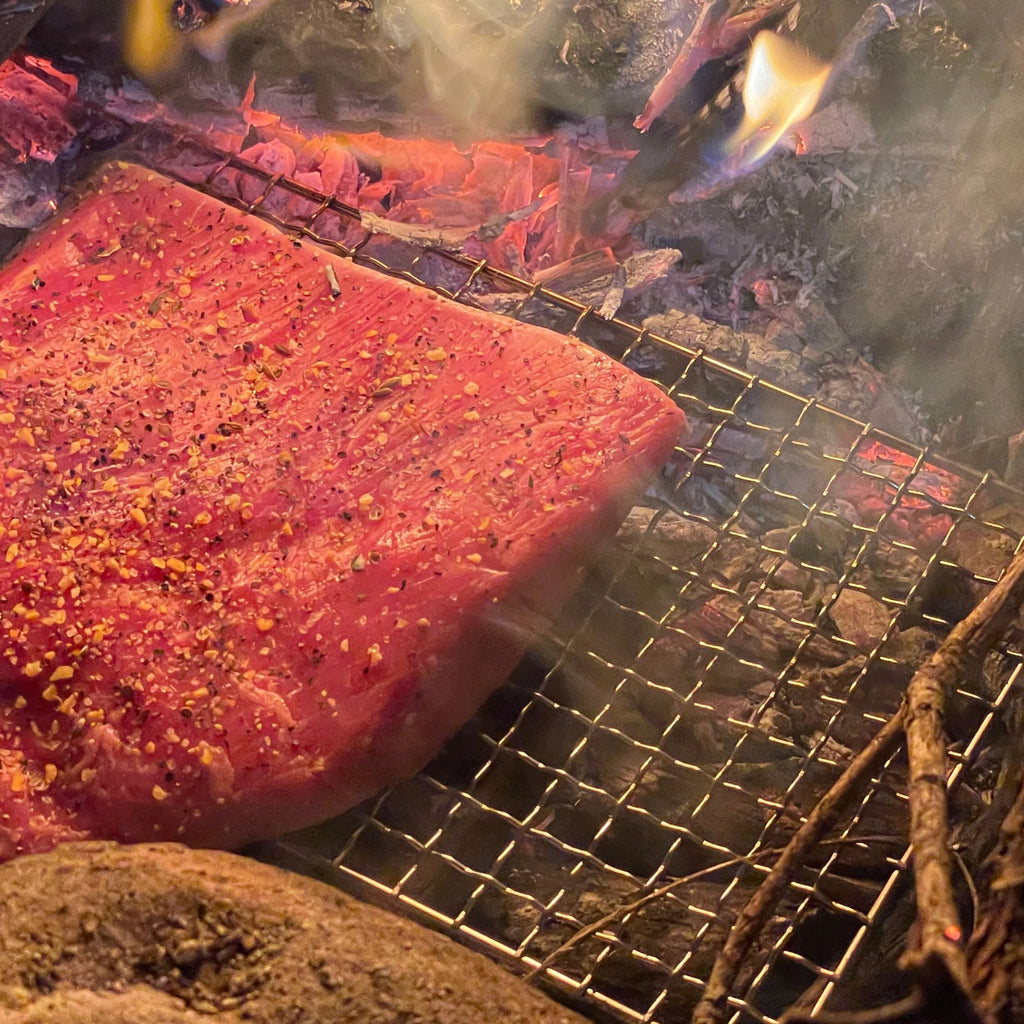 Stainless Steel Outdoor Camping Grill – Portable BBQ Cooking Rack