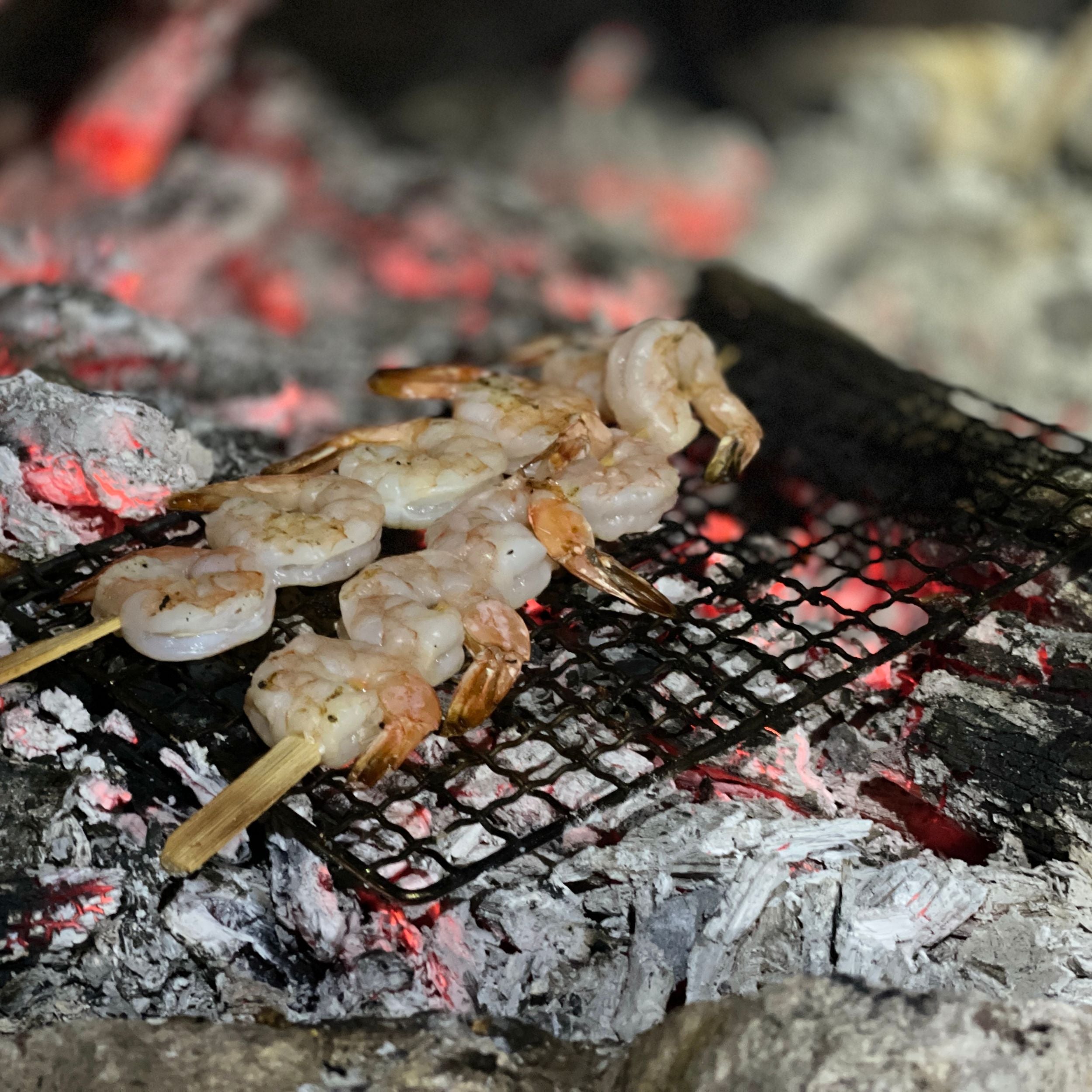 Stainless Steel Outdoor Camping Grill – Portable BBQ Cooking Rack